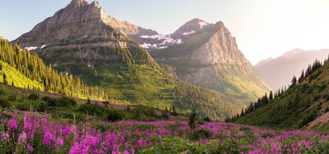 Colorado landscape